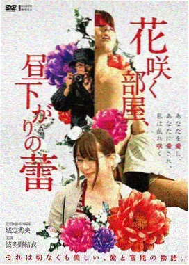 电影长风渡口封面图